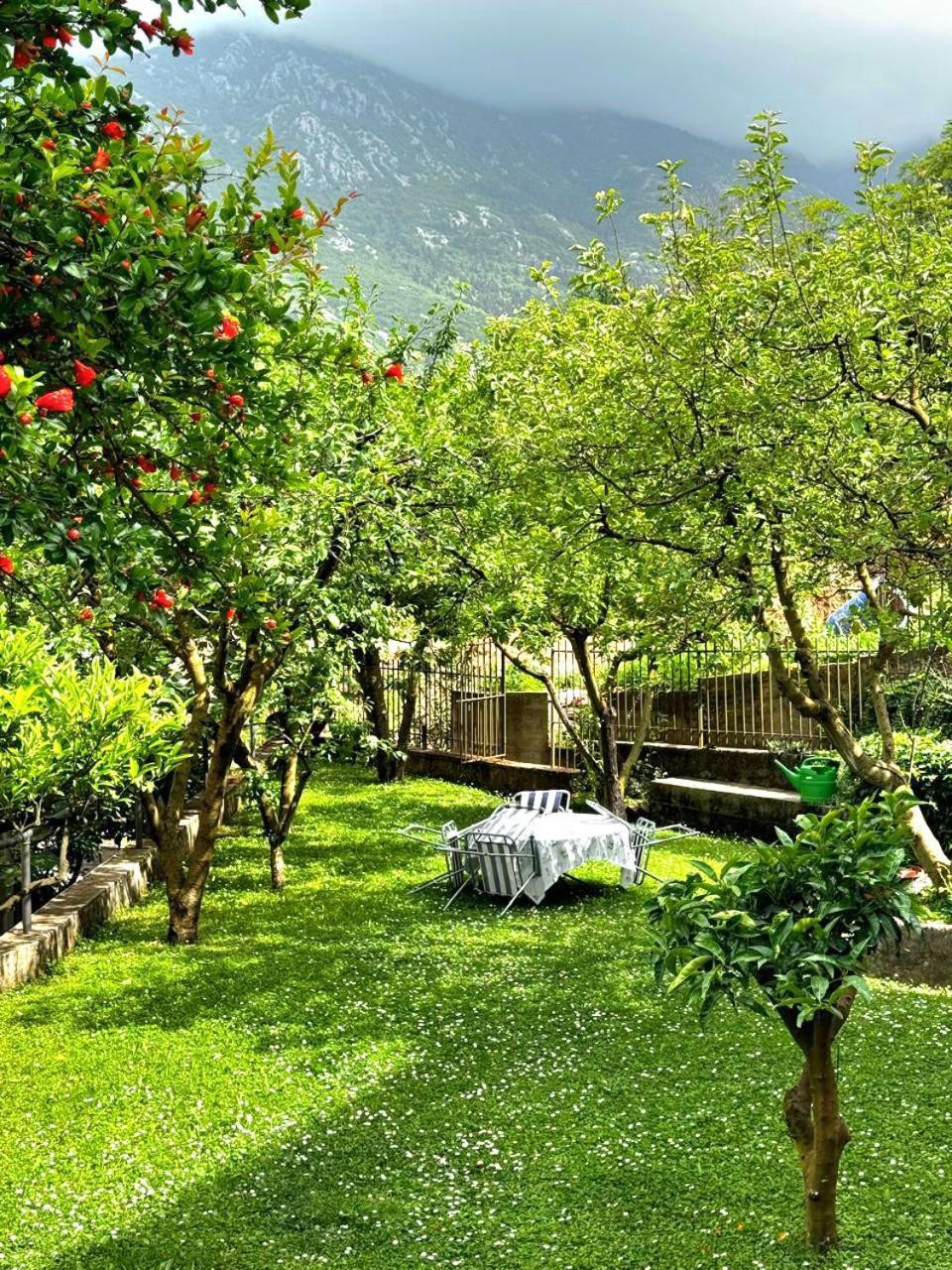 Apartments Andrija Kotor Eksteriør bilde